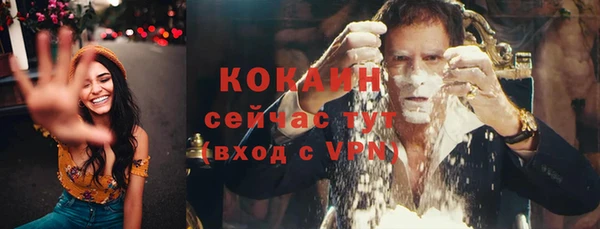 мет Дмитров