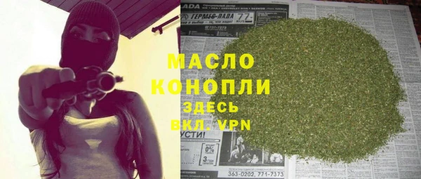 мет Дмитров
